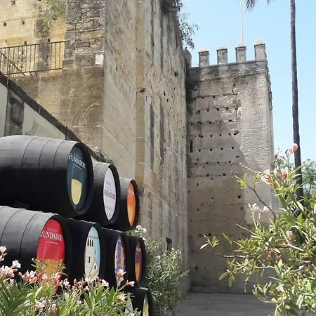 Appartement Sherryflat Bodega San Blas