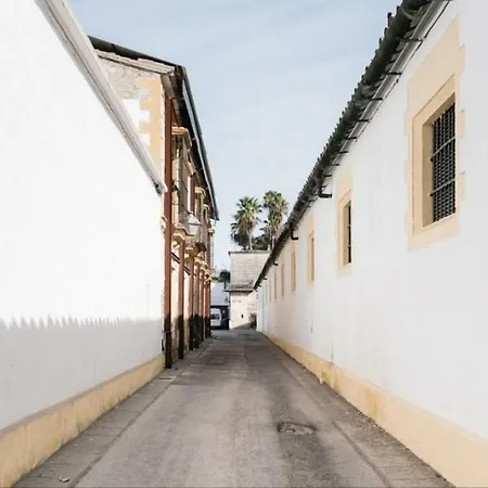 Sherryflat Bodega San Blas