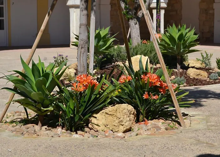 Sherryflat Bodega San Blas Jerez de la Frontera