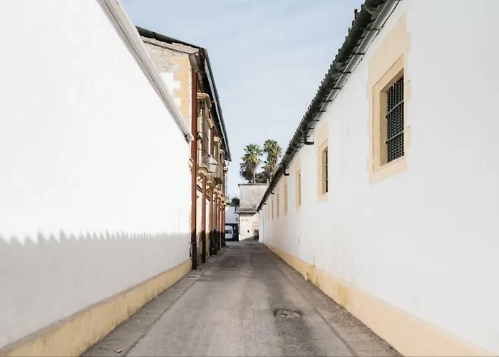 Sherryflat Bodega San Blas