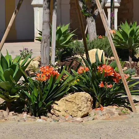 Sherryflat Bodega San Blas Jerez de la Frontera